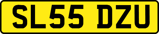 SL55DZU