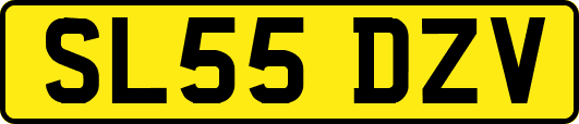 SL55DZV