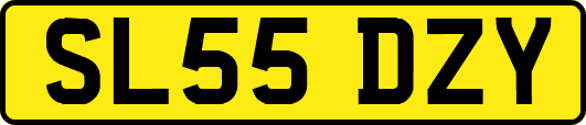 SL55DZY