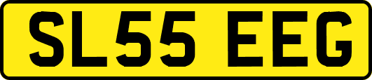 SL55EEG