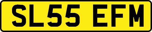 SL55EFM