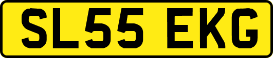 SL55EKG
