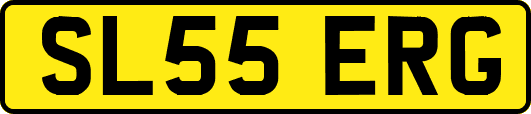 SL55ERG