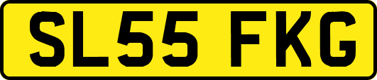 SL55FKG