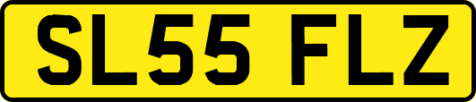 SL55FLZ