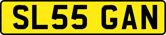 SL55GAN