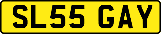 SL55GAY