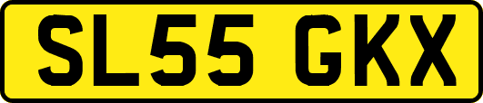 SL55GKX