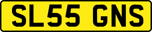 SL55GNS