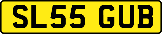 SL55GUB