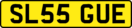 SL55GUE