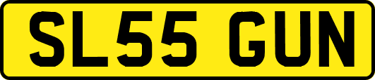 SL55GUN