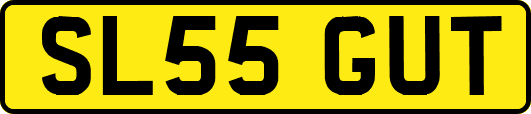 SL55GUT