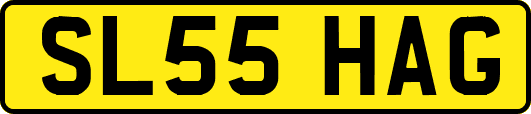 SL55HAG
