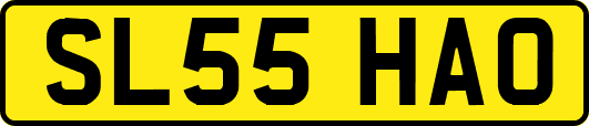 SL55HAO