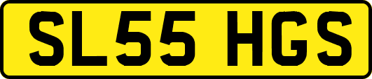 SL55HGS