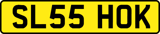 SL55HOK