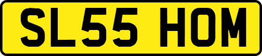 SL55HOM