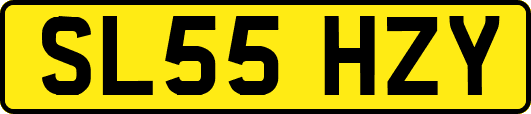 SL55HZY