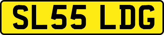 SL55LDG