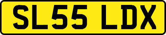 SL55LDX
