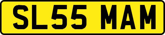 SL55MAM