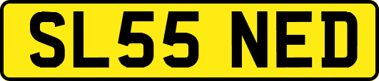 SL55NED