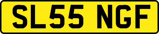 SL55NGF