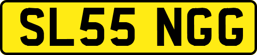 SL55NGG