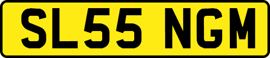 SL55NGM