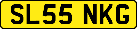SL55NKG