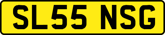 SL55NSG