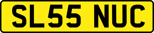 SL55NUC