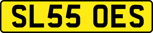 SL55OES