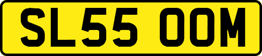 SL55OOM