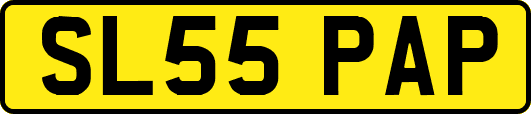 SL55PAP