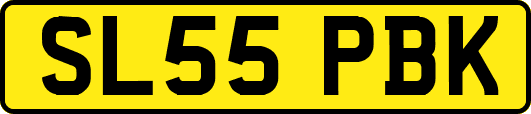 SL55PBK