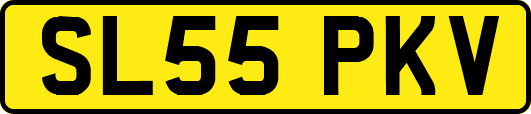 SL55PKV