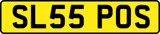 SL55POS