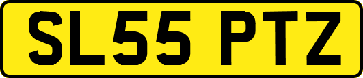 SL55PTZ