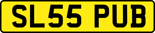 SL55PUB