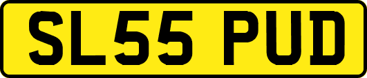 SL55PUD