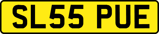 SL55PUE