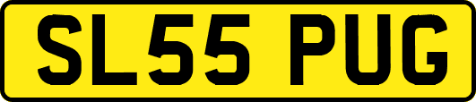 SL55PUG
