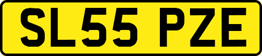 SL55PZE