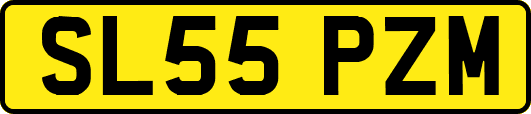 SL55PZM