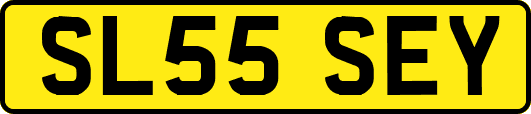 SL55SEY