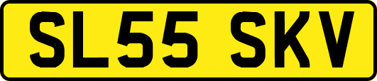 SL55SKV