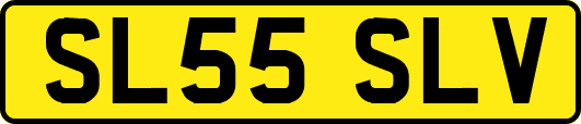 SL55SLV