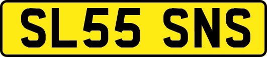 SL55SNS